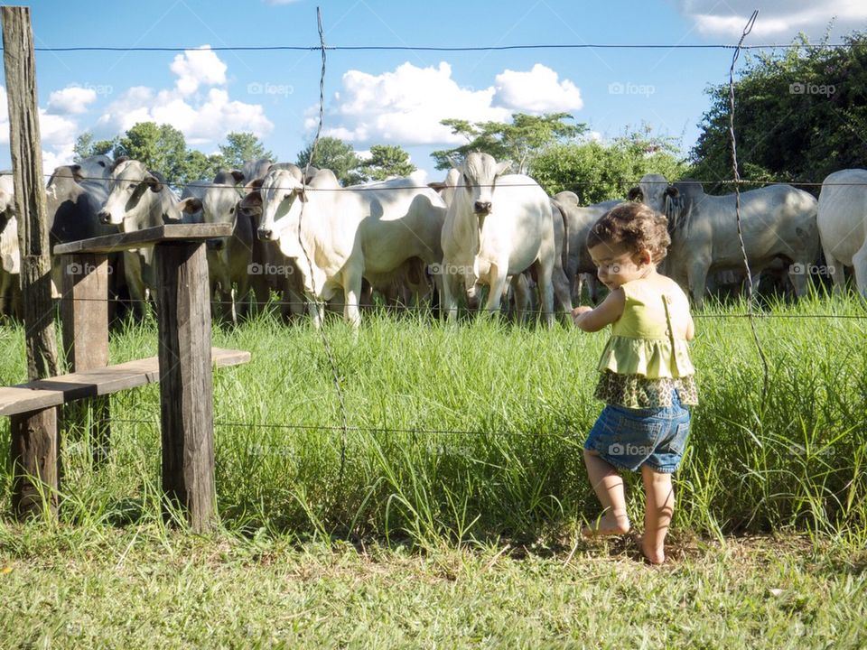 Day at countryside