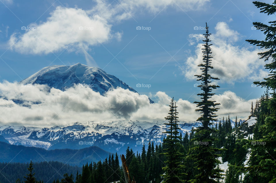 Mount Rainier. The tallest peak in Washington towering in the distance
