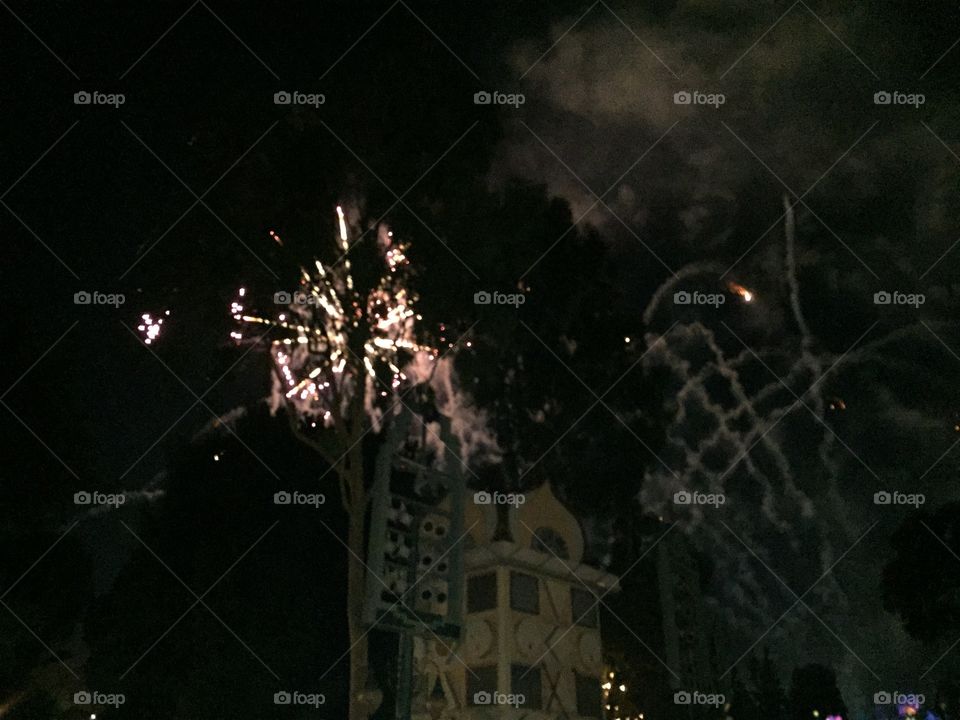 The fireworks. A beautiful night at Disneyland 