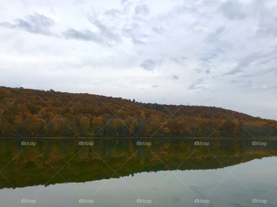 Reflection on Allamuchy Pond