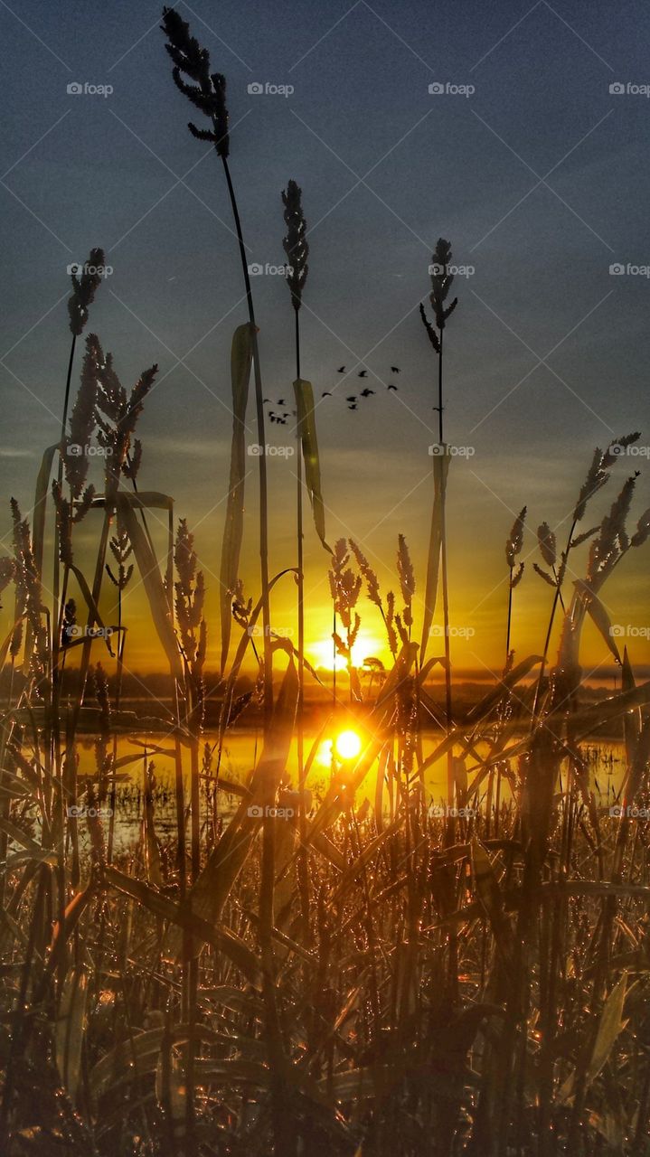 Central Florida Sunrise