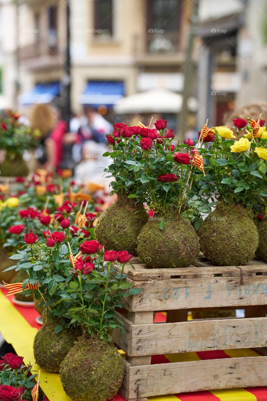 Sant Jordi a Barcelona