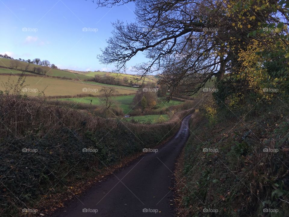 Late Autumn  morning sunshine in Kingskerswell, Devon, UK.