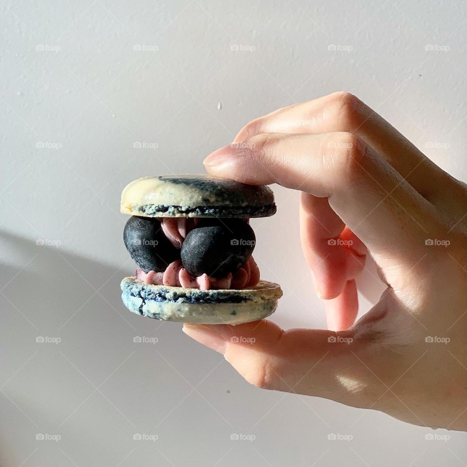 Holding onto blueberry cream fat macaron 