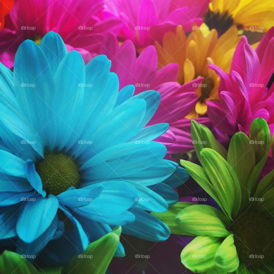 Flowers from the boyfriend ❤️