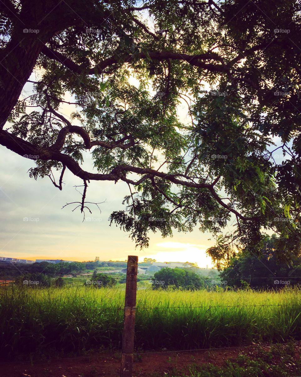 Nature landscapes are usually posted here by foapers. Welcome to Foap with a dawn from Brazil. / As paisagens da natureza são geralmente postadas aqui pelos foapers. Bem-vindo ao Foap com um amanhecer do Brasil.