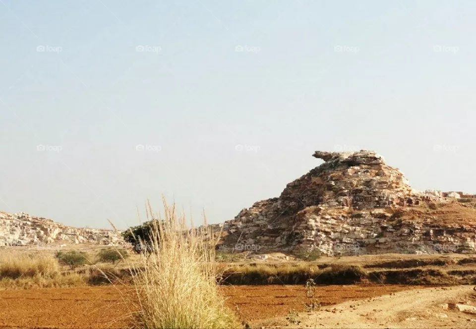 landscape