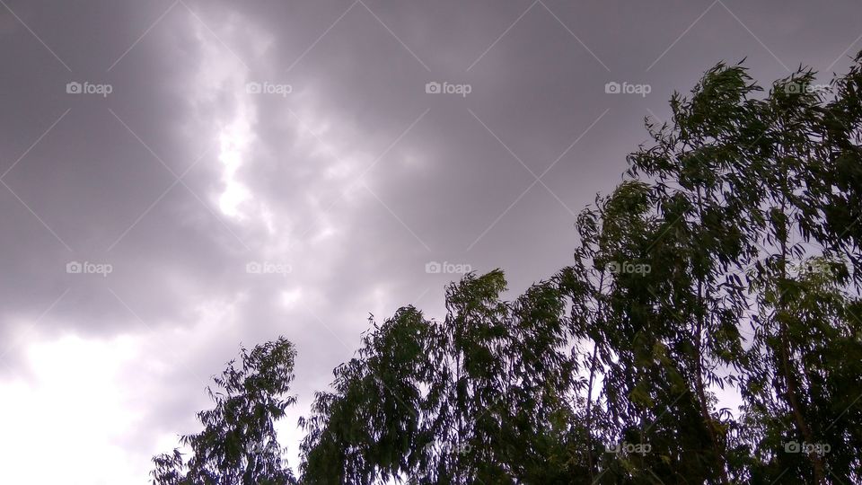 Thunder storms clouds
