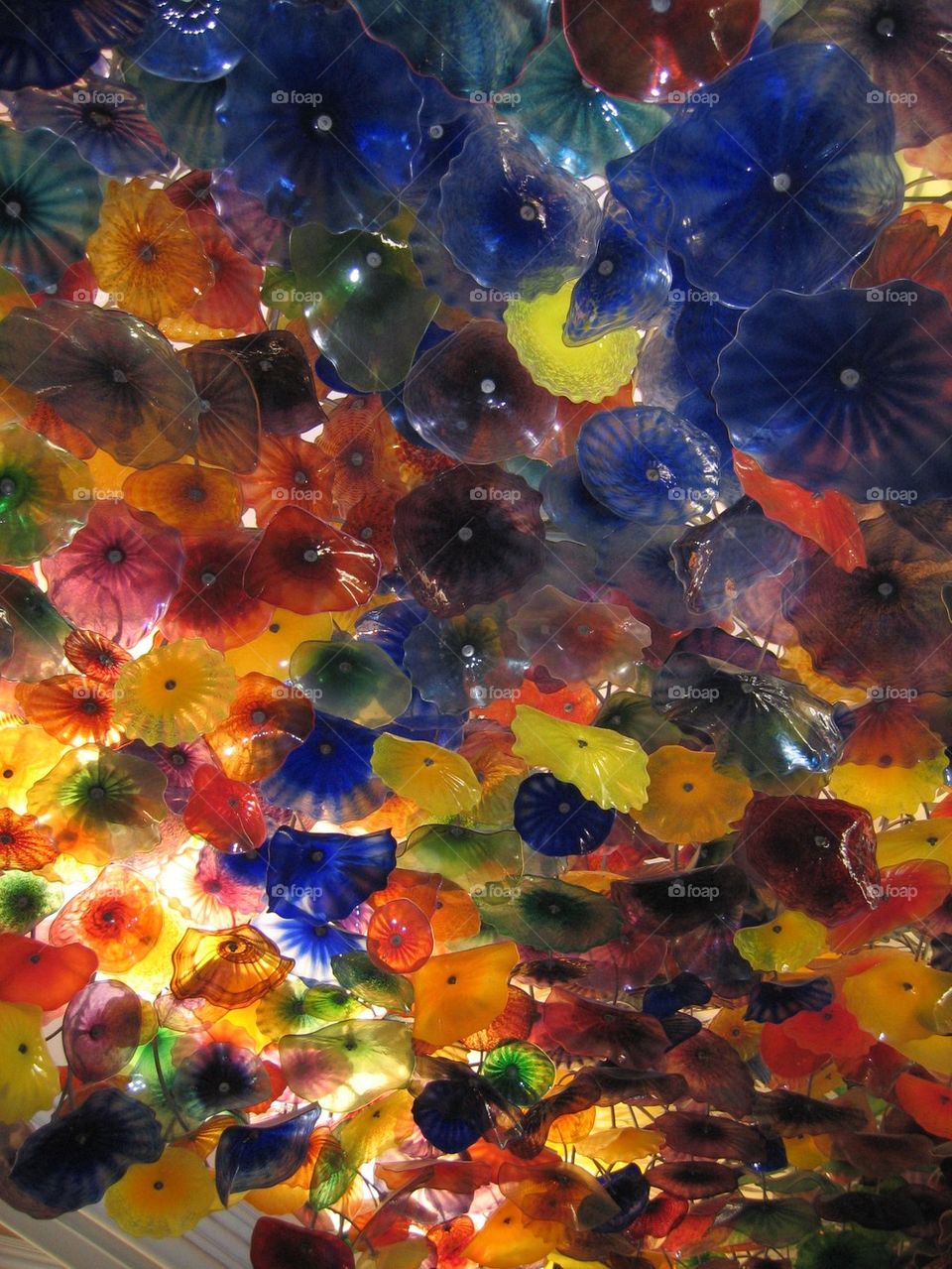 Chihuly Glass at Bellagio - Las Vegas
