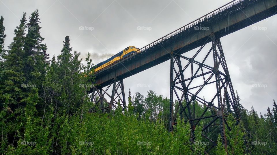 Alaska Railroad bridge in Denali Park