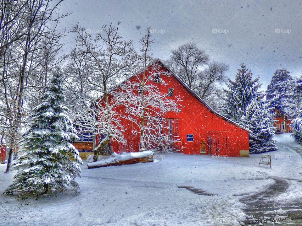 Winter red barn. 