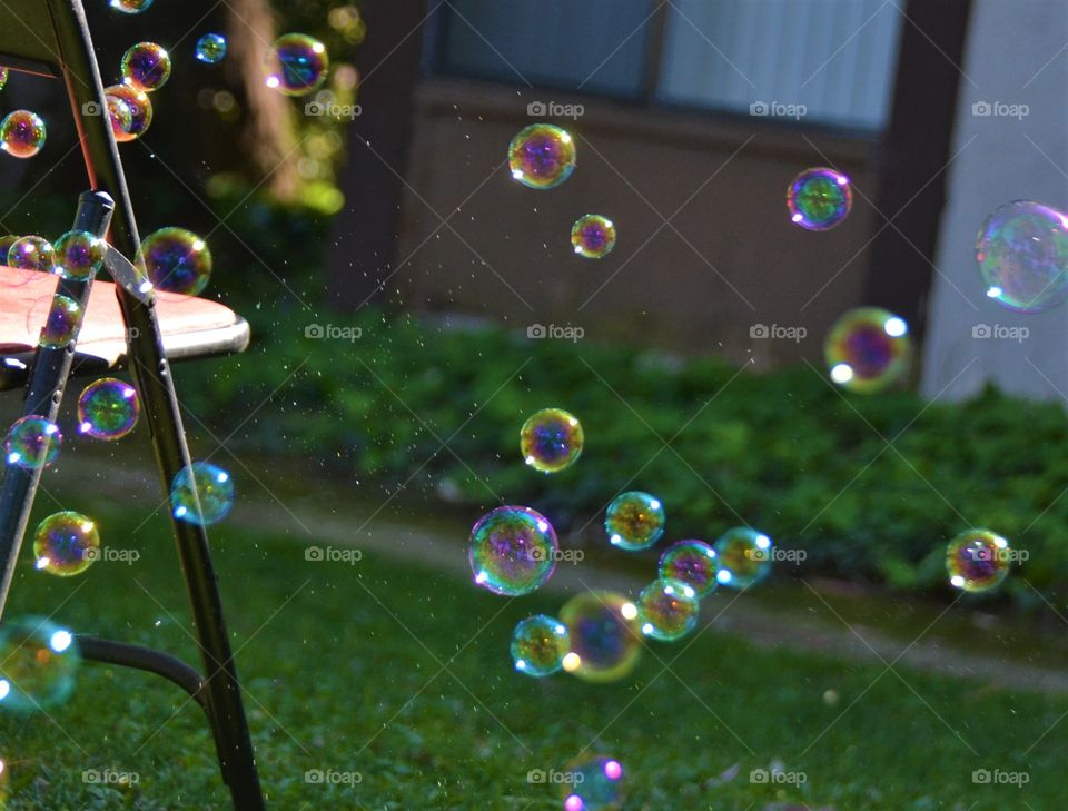 Bubbles 