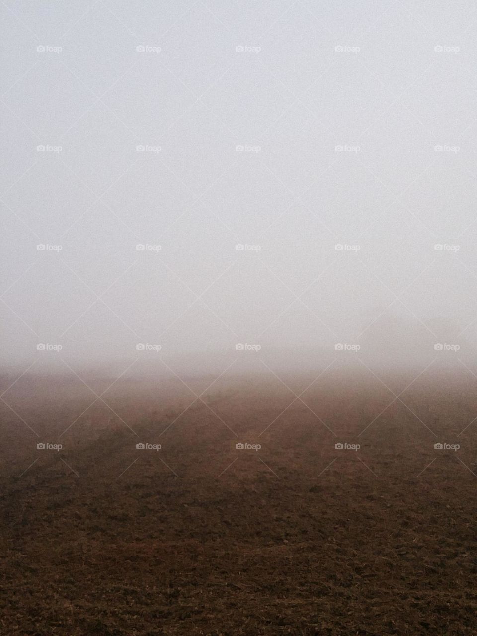 A névoa assustadora e mortal.