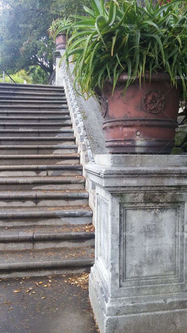 No Person, Wood, Architecture, Step, Garden