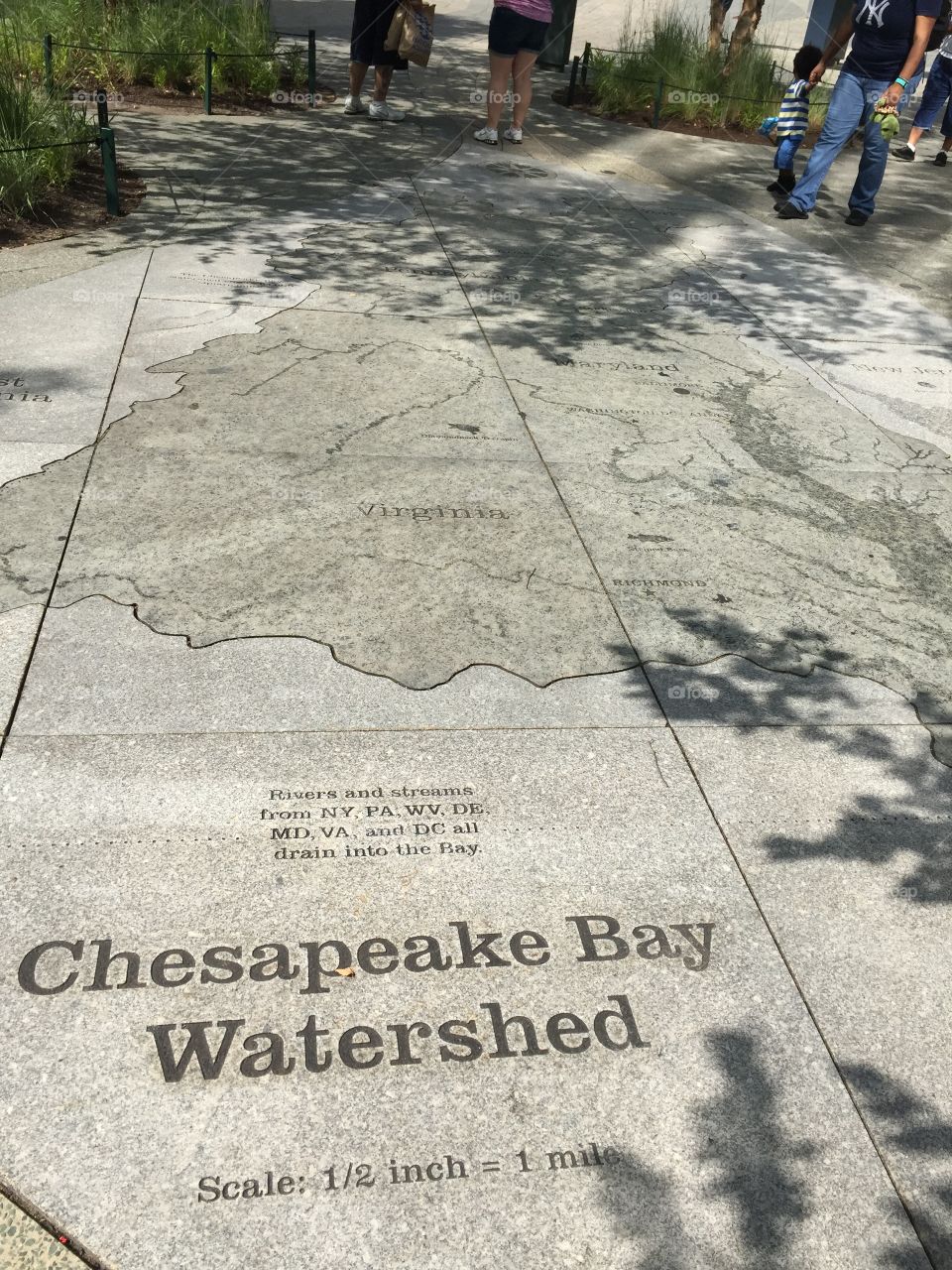 Chesapeake bay map