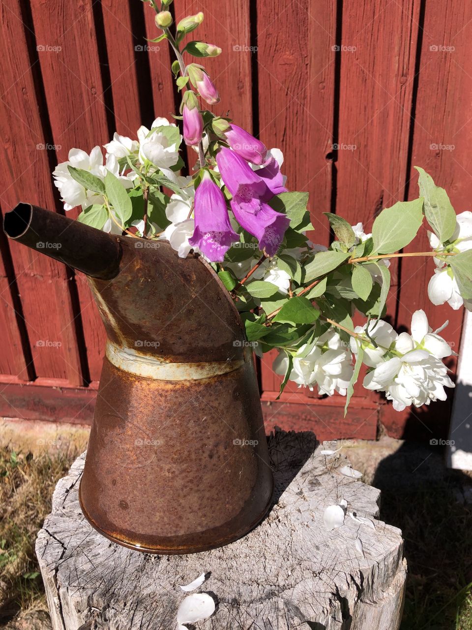 Flower in a rosty pot