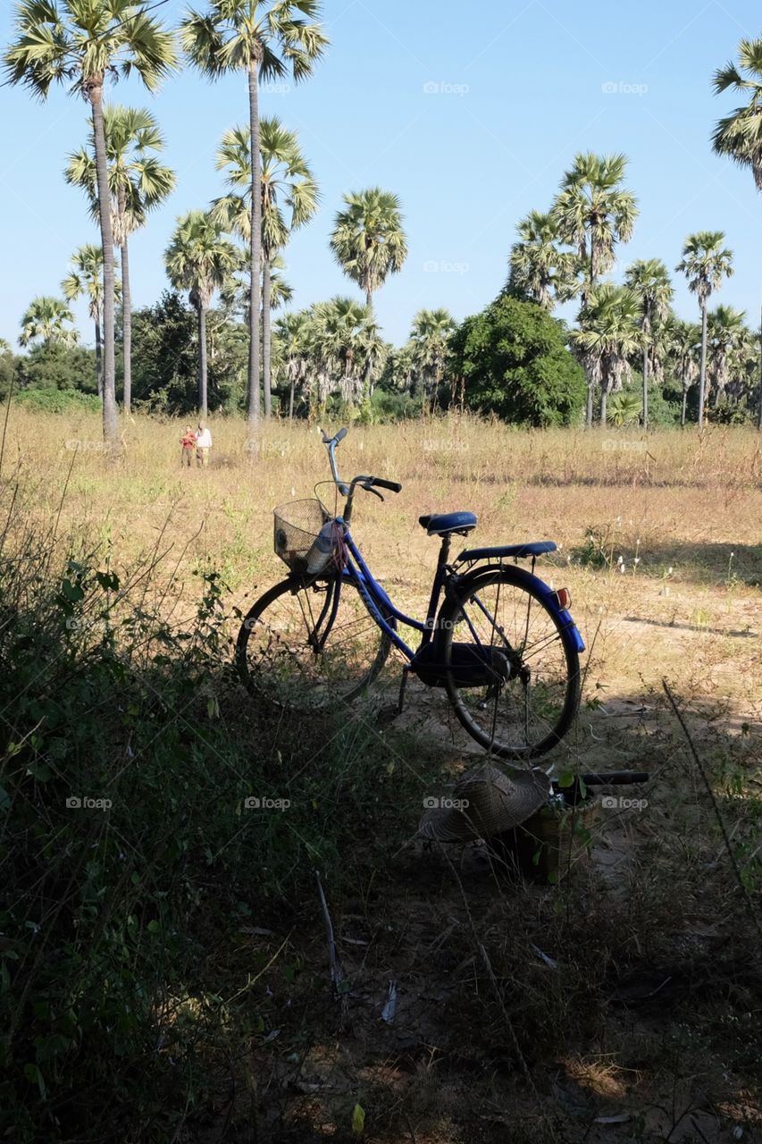 Biking at the farm