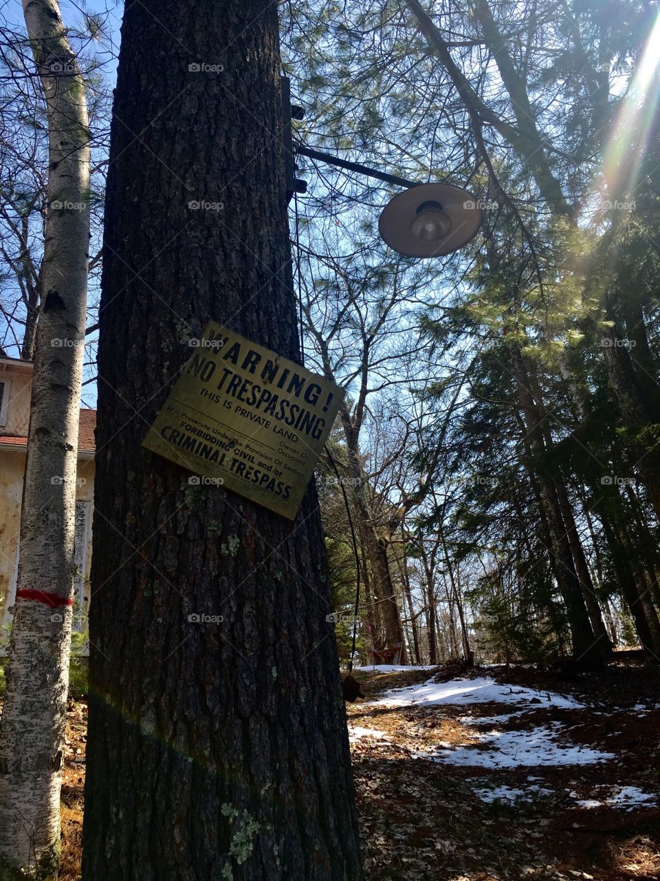 Old no trespassing sign in the woods