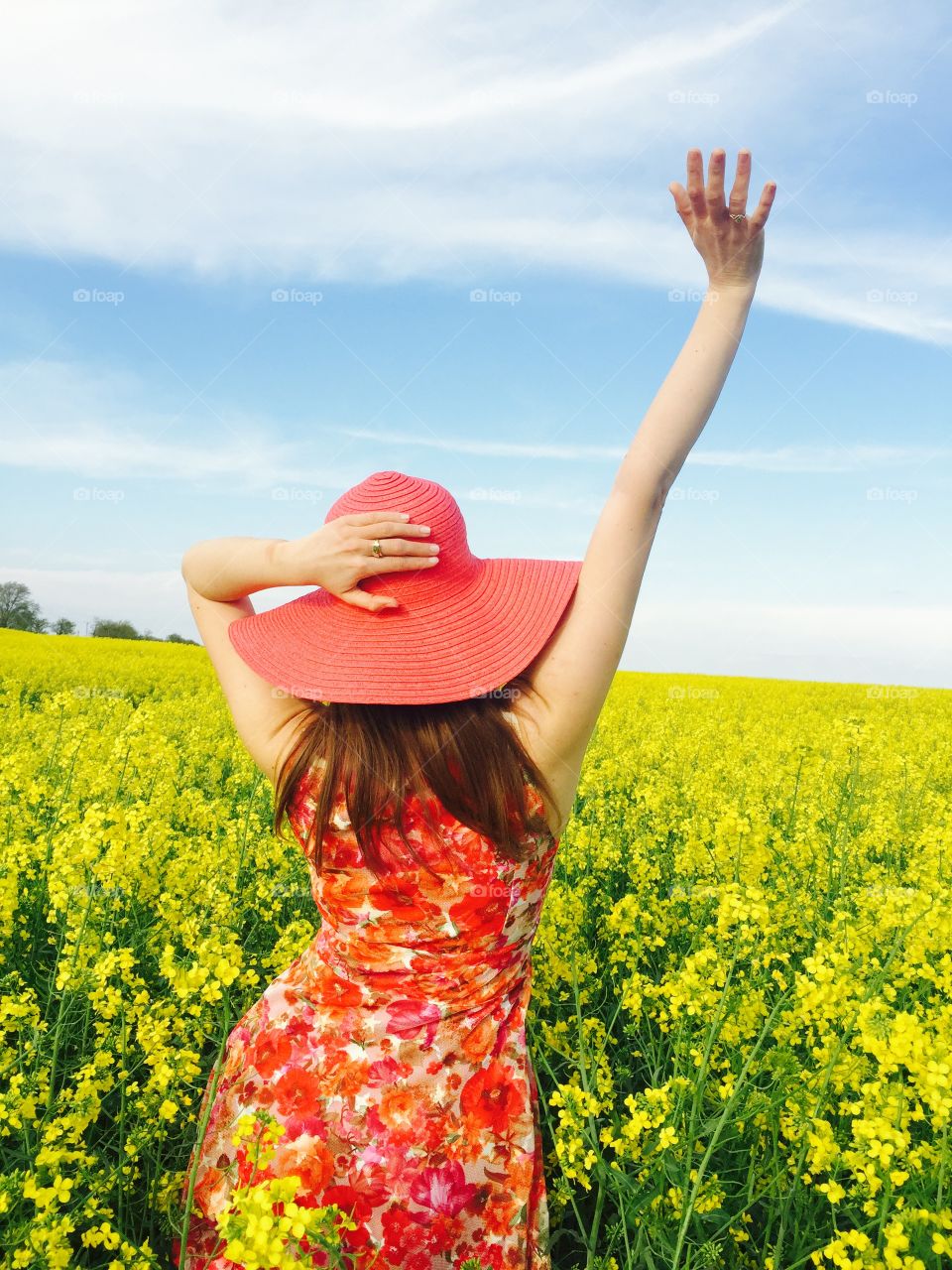 Canola field