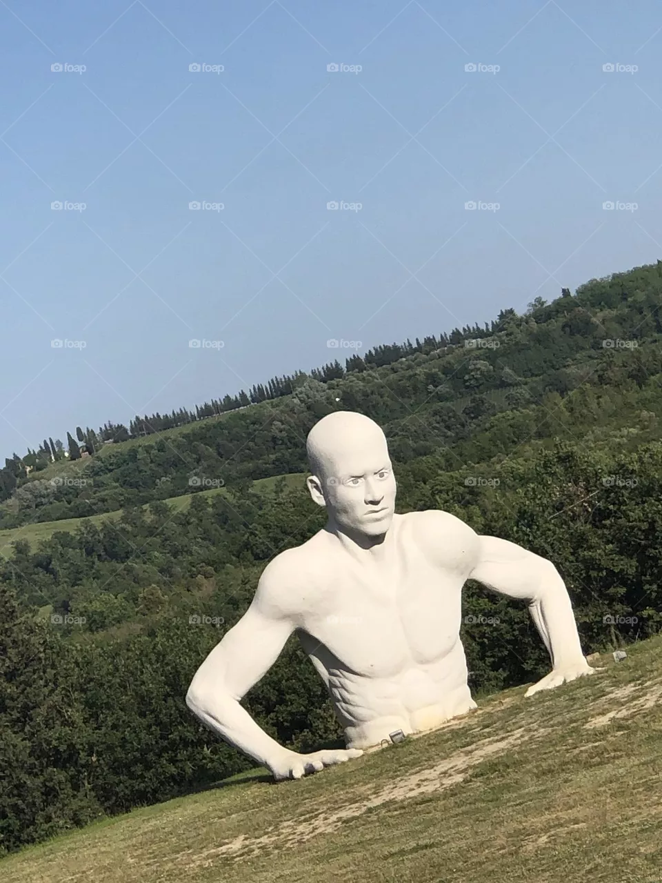 Statua 