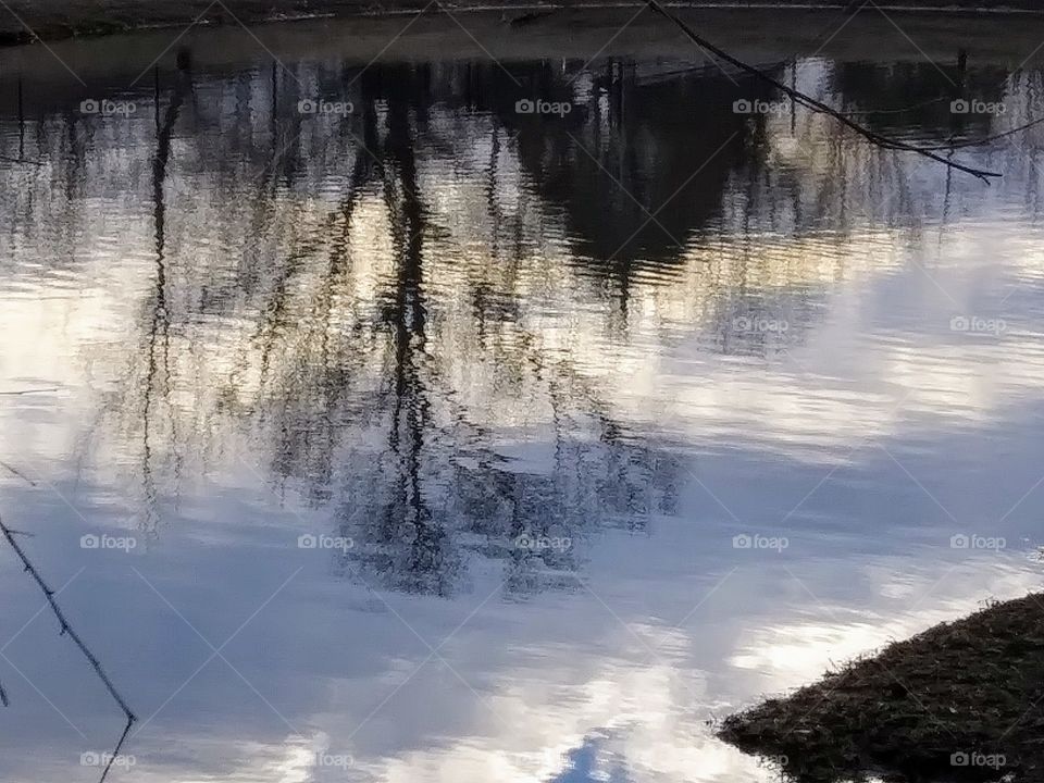 reflection of trees