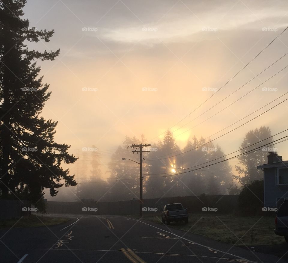 Foggy sunrise