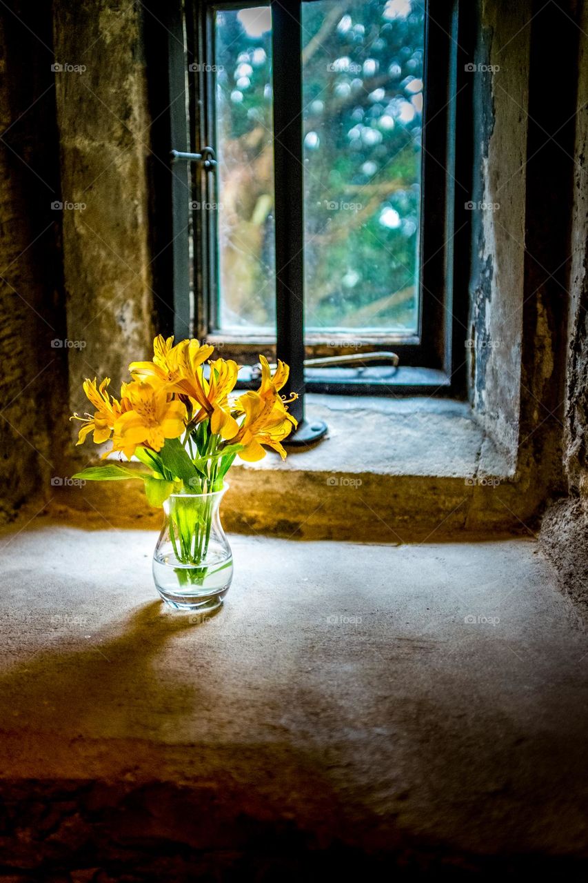 flower 🌼 in a transparent vase