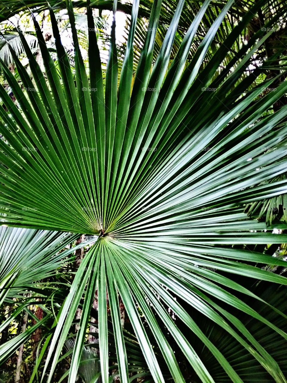 Dobras e detalhes perfeitos.