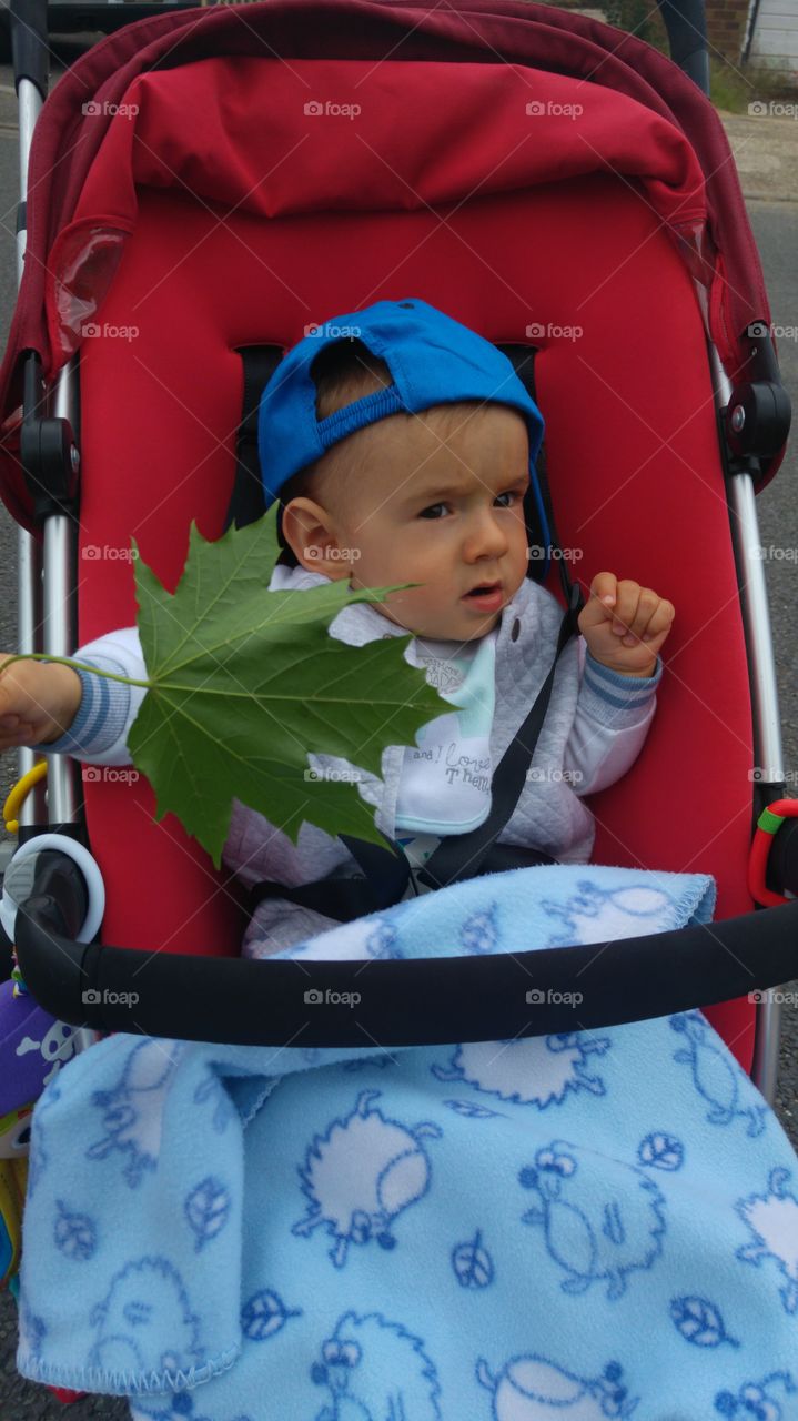 Close-up of baby sitting in stroller holding green leaf
