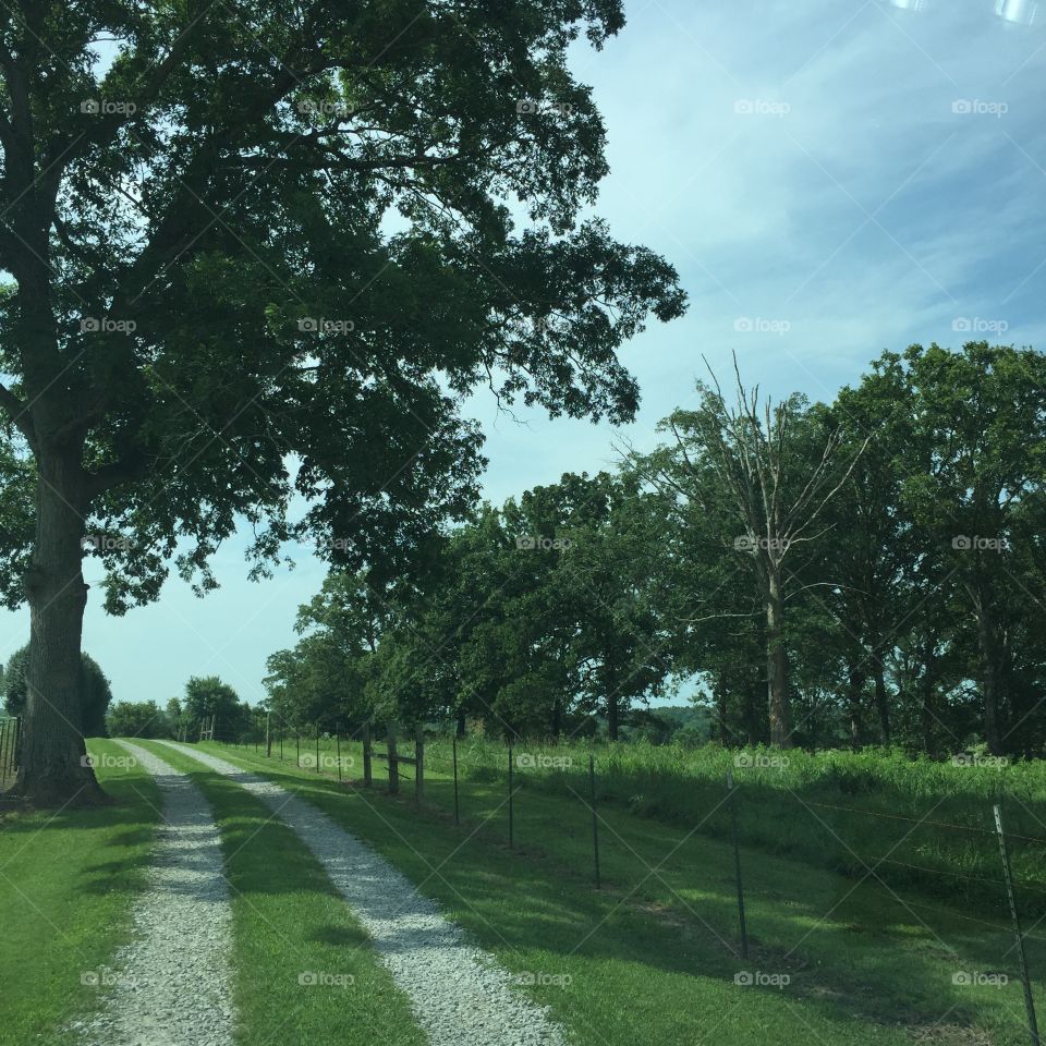 Country road travel