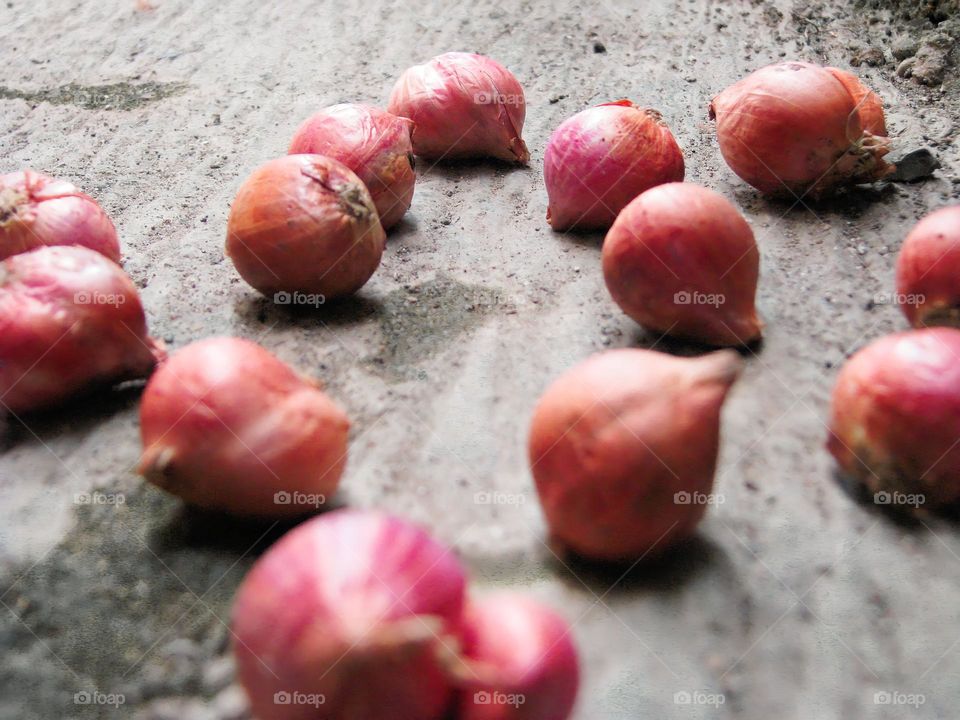 Close-up of red onions scattered on the ground