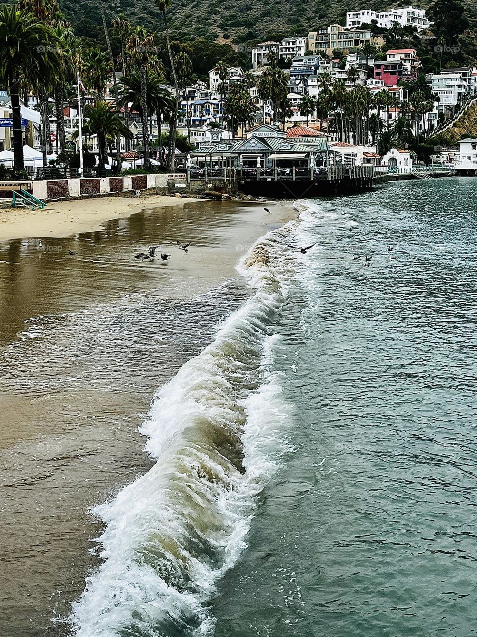 Beach Summer Shoreline