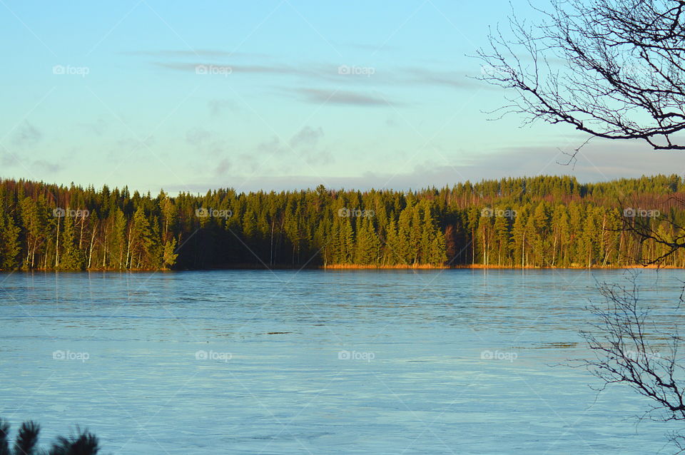 Scenic view of lake