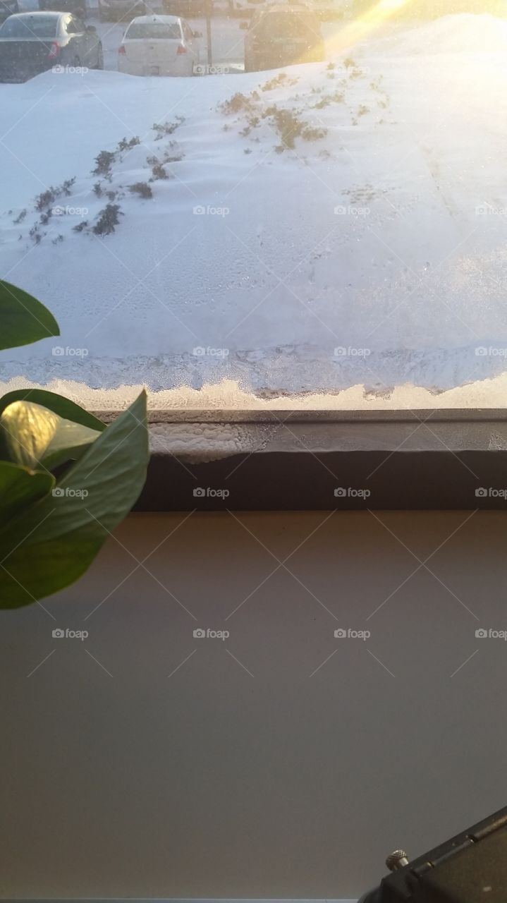 inside office in winter