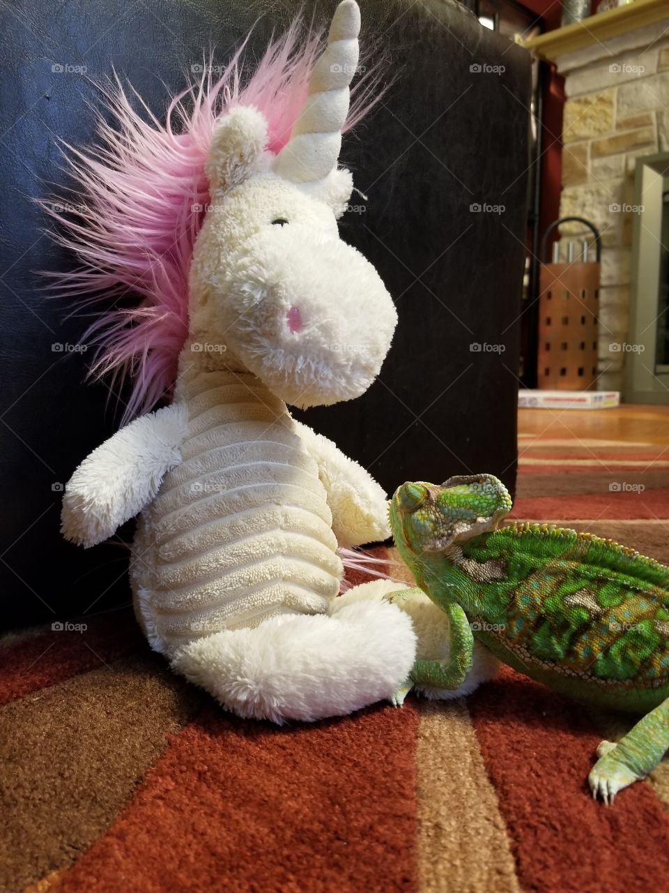 unicorn and lizard