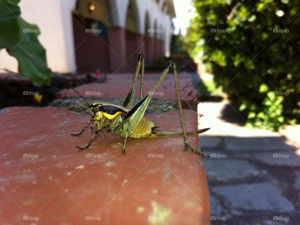 Such weird creatures...