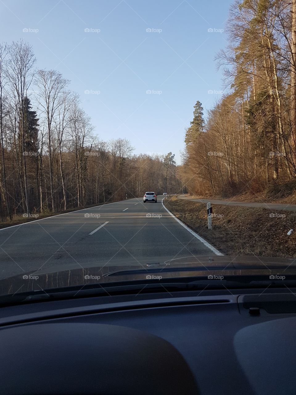 Autumn car ride through the forrest