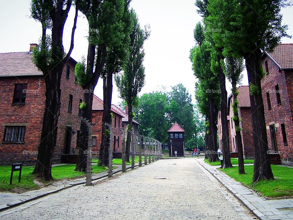 Street filled with blocks inAuschwitz concentration camp in Poland, Josef mengele, Guard shack,  genocide, Oswiecim, Birkenau, Elie Wiesel, holocaust 