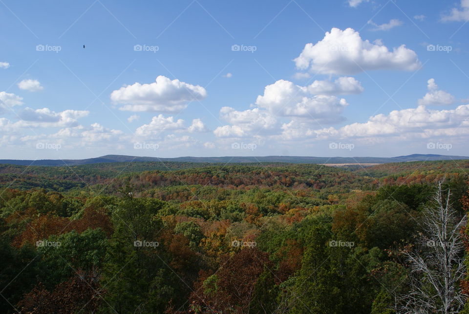 southern illinois fall