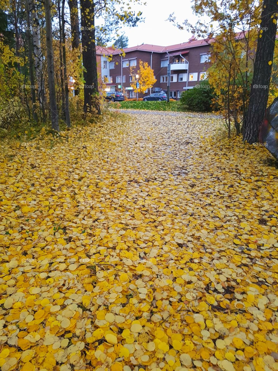 yellow walkway