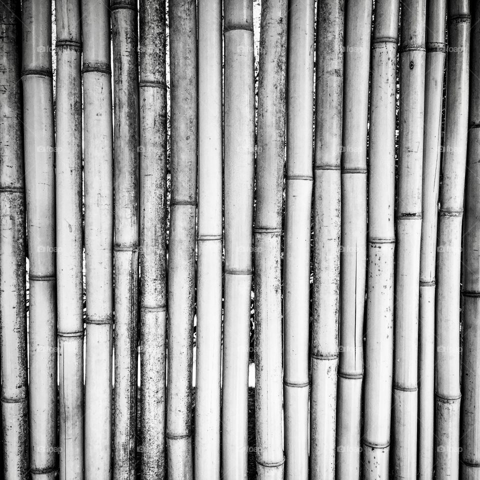 Bamboo, Texture, Desktop, Abstract, Pattern
