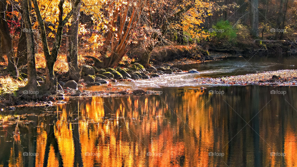 Autumn is beautiful because of how all the shades of yellow orange and red create in the trees in forests