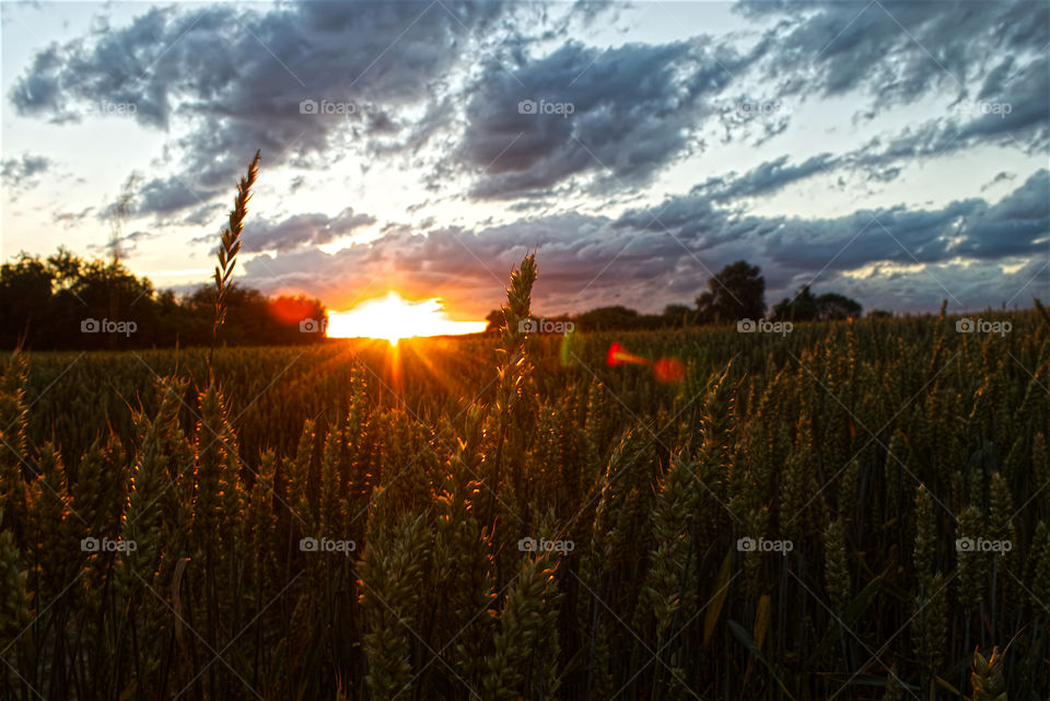 Landscape in sun