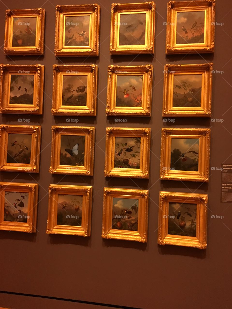 More pictures from crystal bridges. Here are some small framed pictures on a wall.