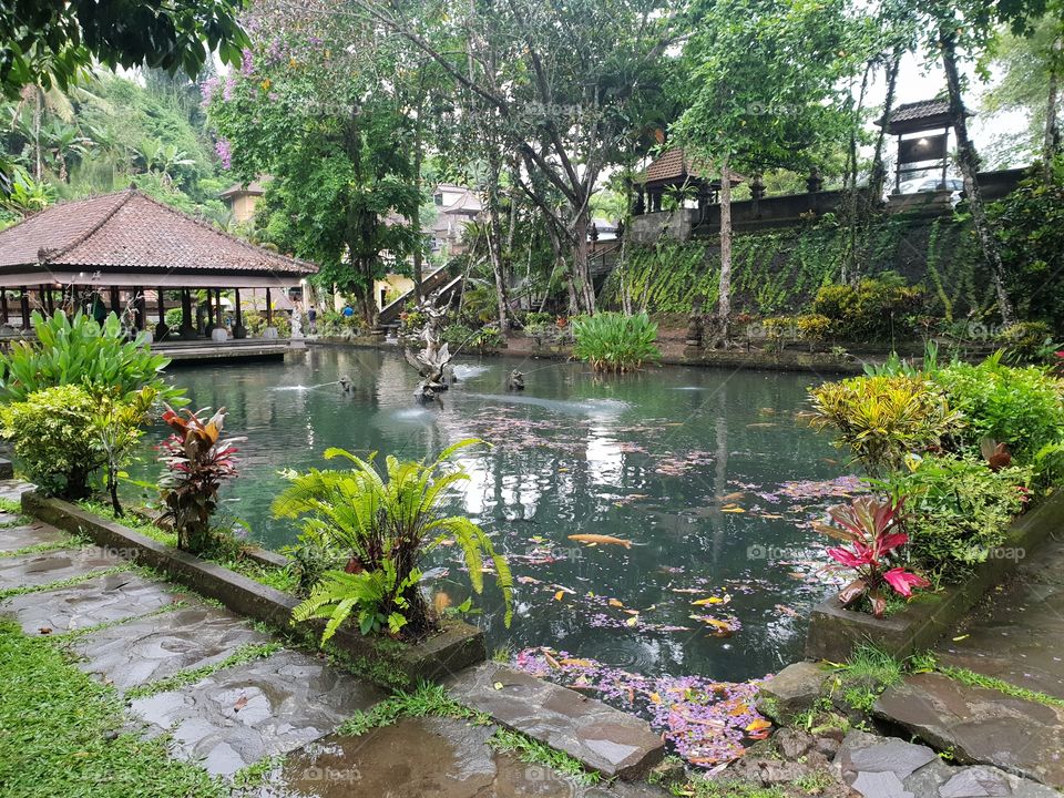 Holy pond