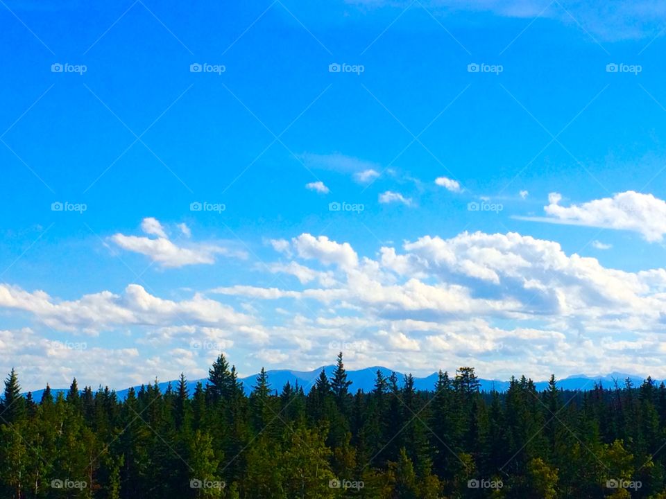 Alberta Mountain View
