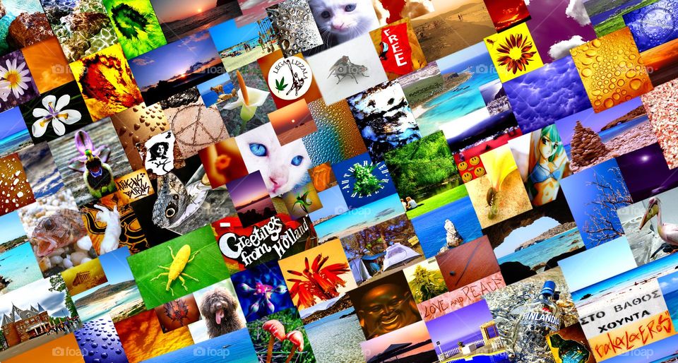 Beautiful traveling photography college make of amazing colours