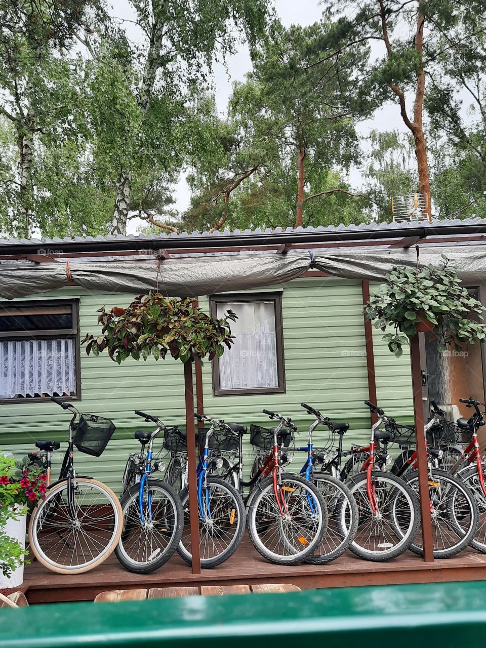 bicycles ready for rent