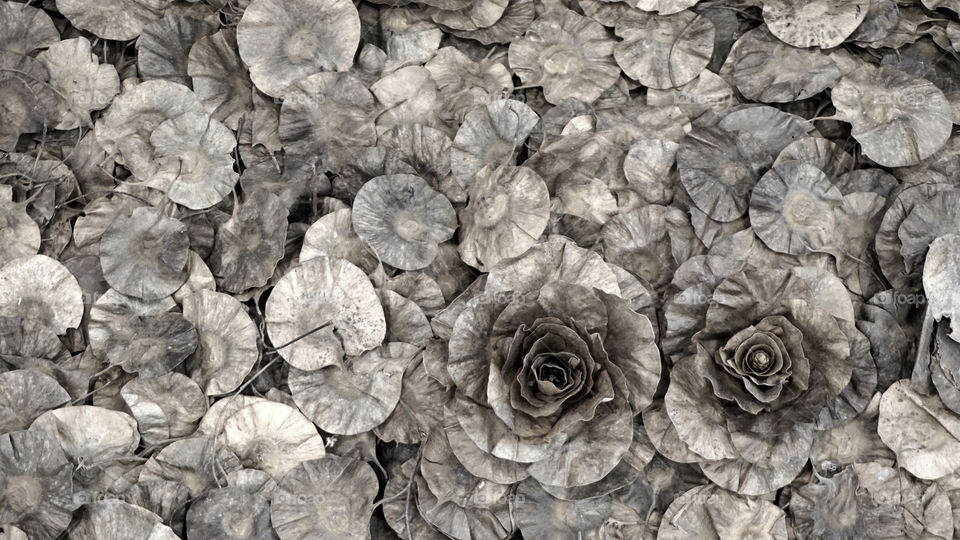 

We can create a happy moment by our hand isn't it