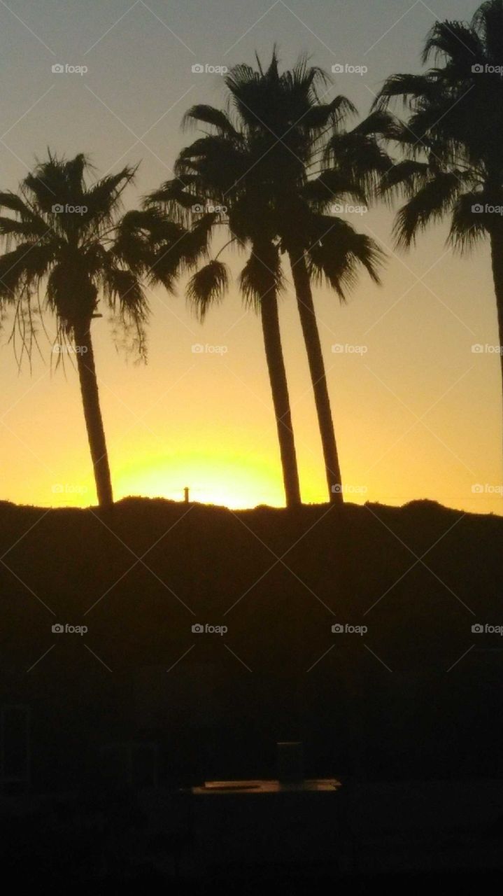 Phoenix sunset